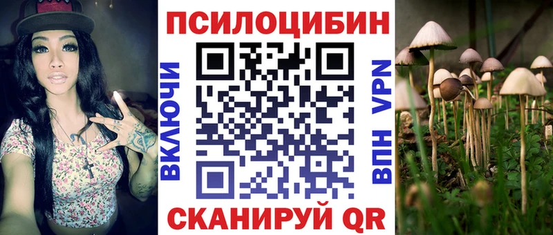 купить   Олёкминск  кракен рабочий сайт  Галлюциногенные грибы Psilocybe 